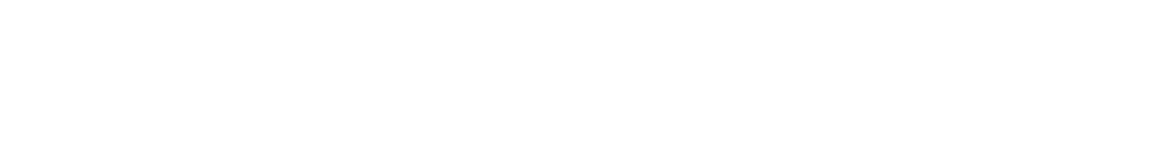 SR Motorsport by Schnitzelalm Racing